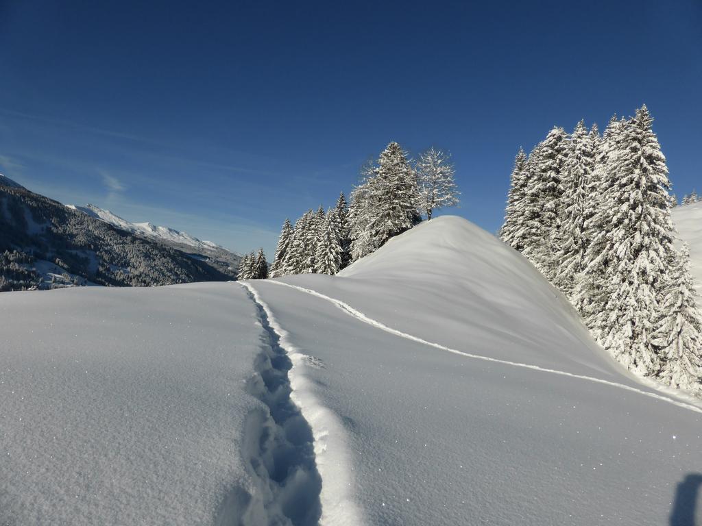 Hotel Berghaus Alpenroesli Klosters Exteriér fotografie